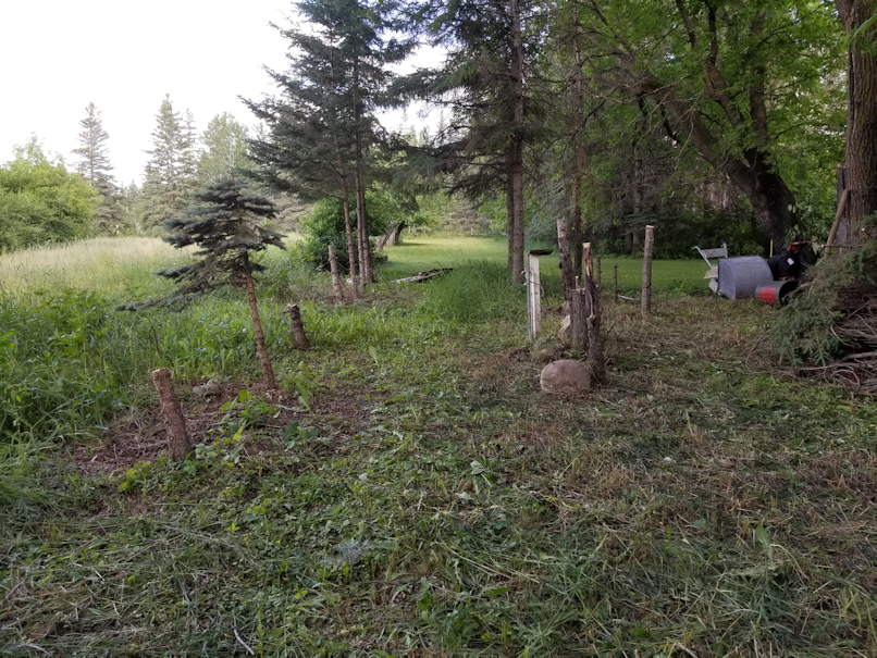 20180702.cleanup.maplegrove.eastside.progress.evening