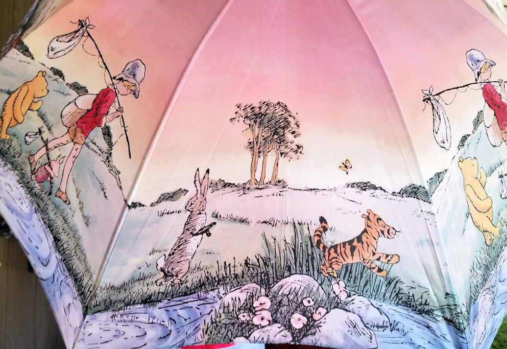 20180706.pooh.umbrella