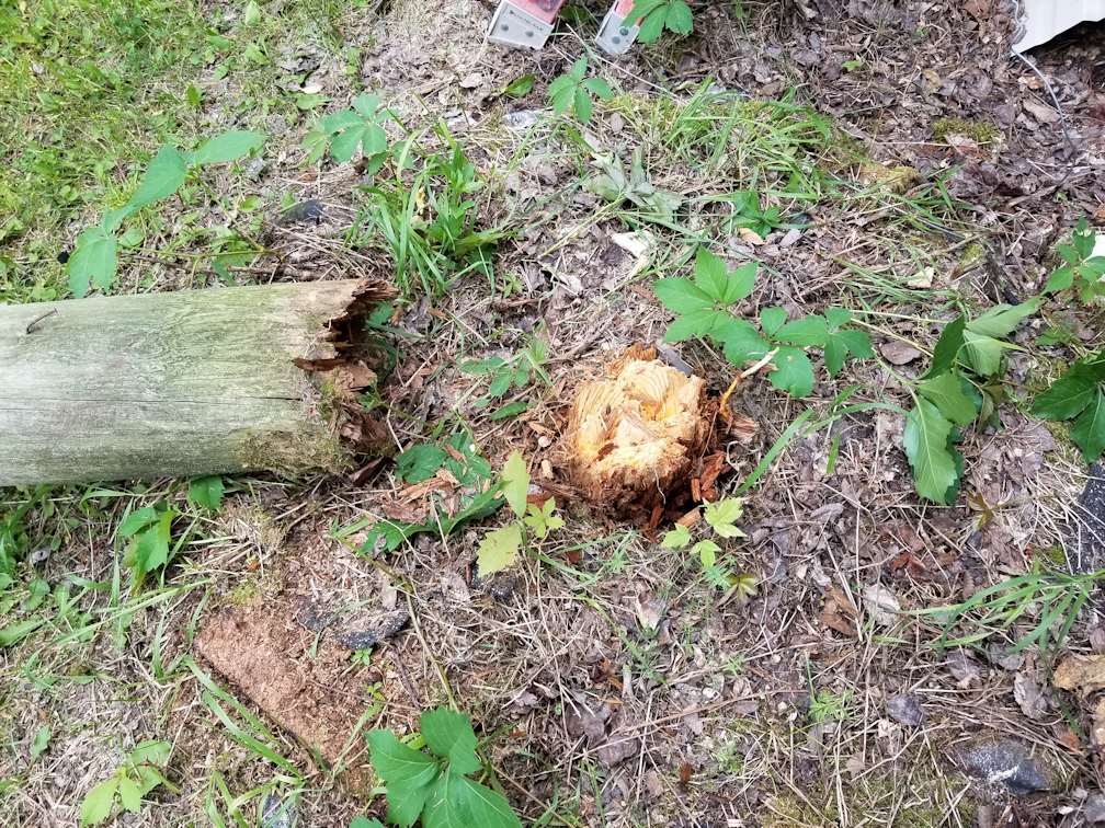 20180714.pole.bottom