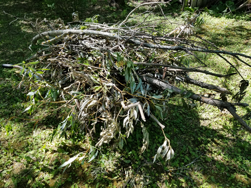 20180715.windfall.cleanup