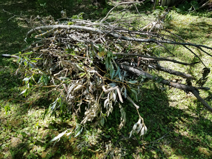 20180715.windfall.cleanup