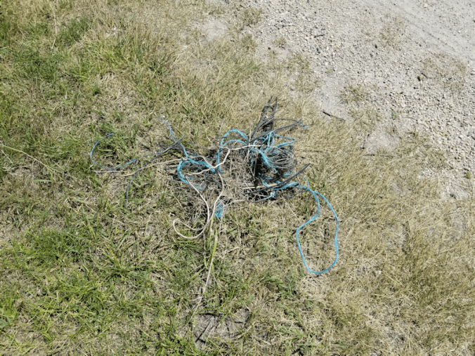 20180716.things.found.with.weed.trimmer