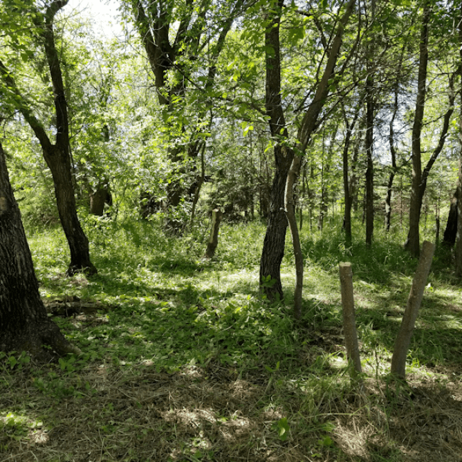 20180717.cleanup.maplegrove.west.after2