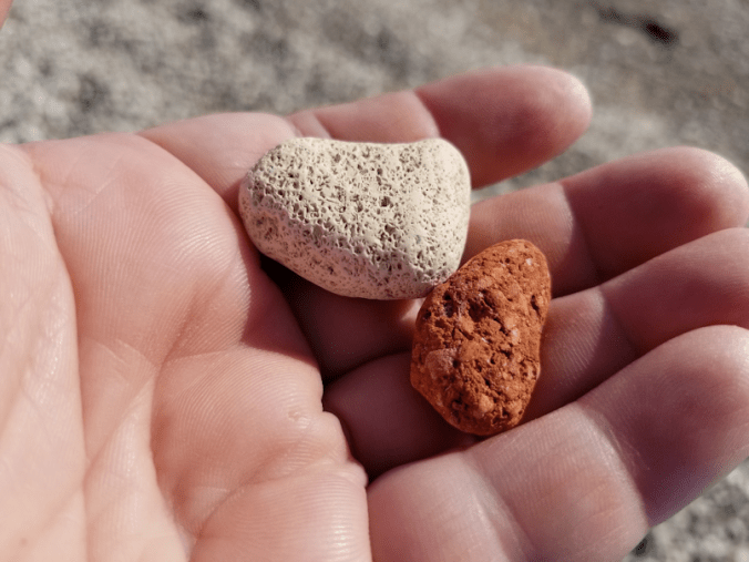 20180721.beach.pebbles