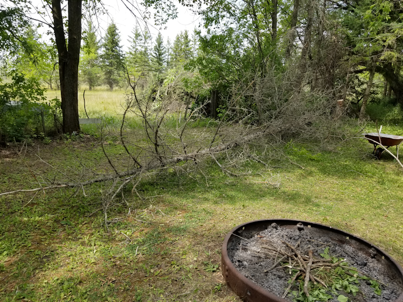 20180730.cleanup.firepitarea.1tree.down.3