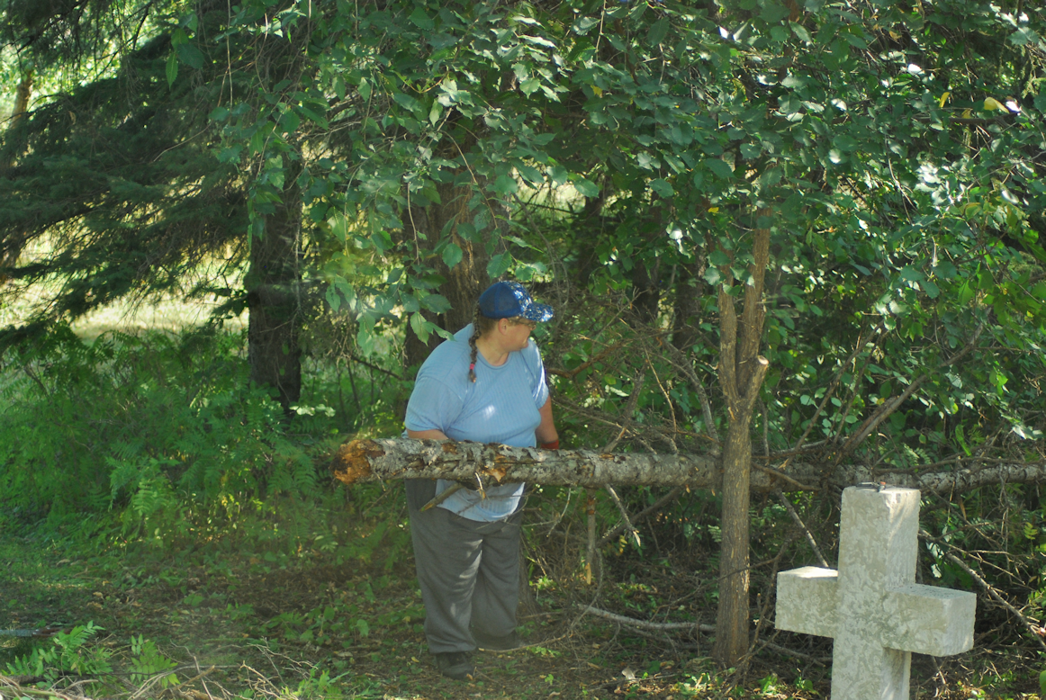 2018-08-20.clearing.tree.top