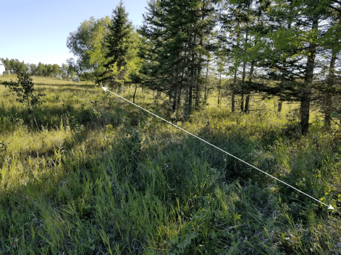 20180801.barbed.wire.trap.2