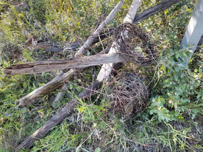 20180801.barbed.wire.trap.3