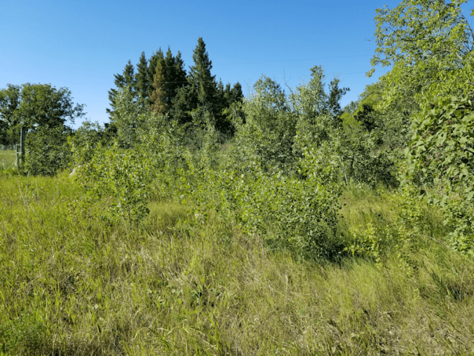 20180801.garden.gate.area