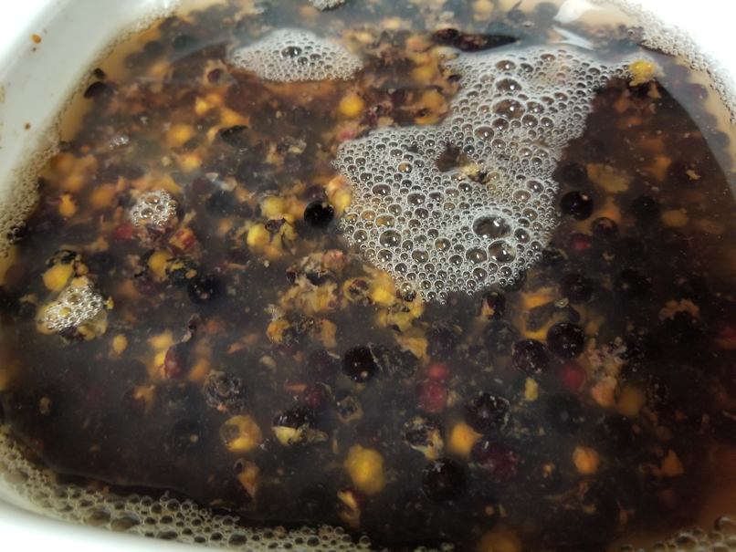 20180802.chokecherry.vinegar2