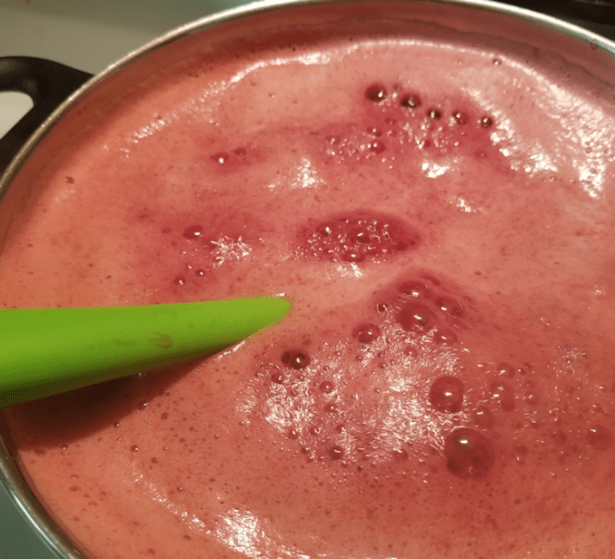 20180802.chokecherry.vinegar4