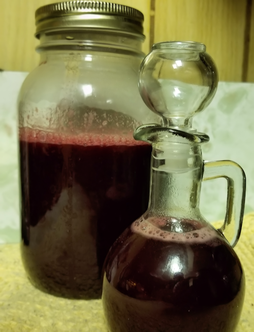 20180802.chokecherry.vinegar9