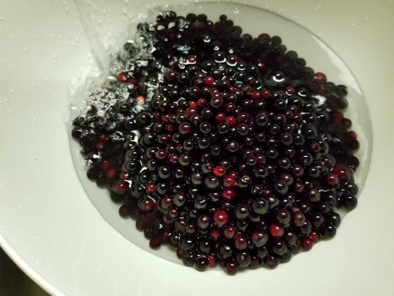 20180802.washing.chokecherries