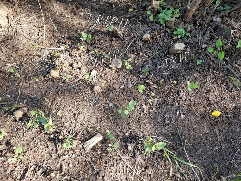 20180809.cleanup.firepitarea.neargate.triphazards