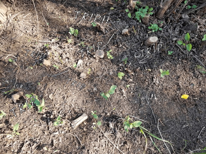 20180809.cleanup.firepitarea.neargate.triphazards