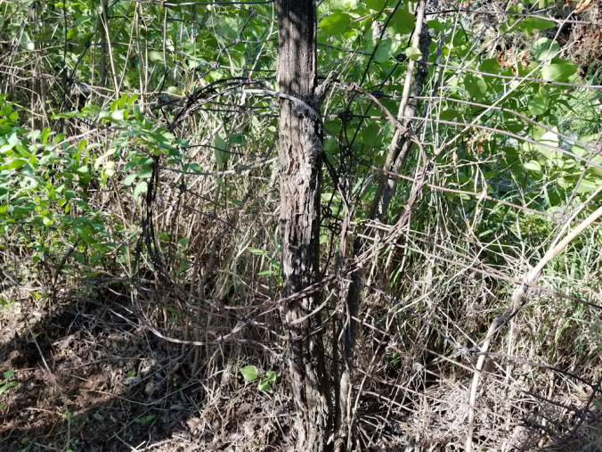 20180809.cleanup.westfenceline.found.barbed.wire.1