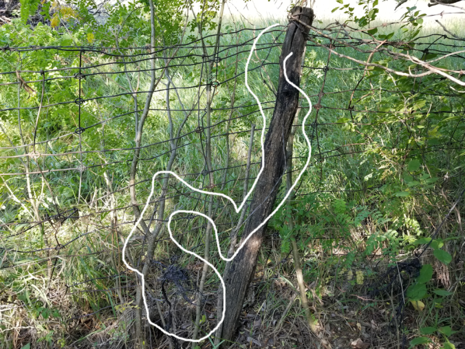 20180809.cleanup.westfenceline.found.barbed.wire.2