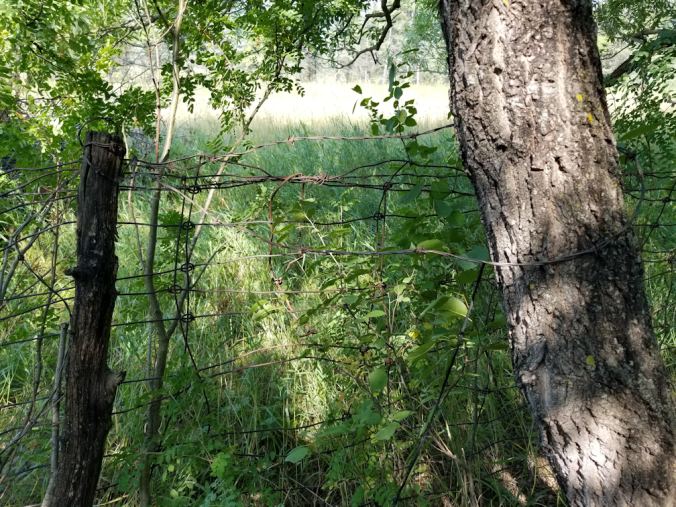 20180809.cleanup.westfenceline.found.barbed.wire.3
