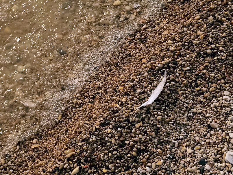 20180811.beach.feather