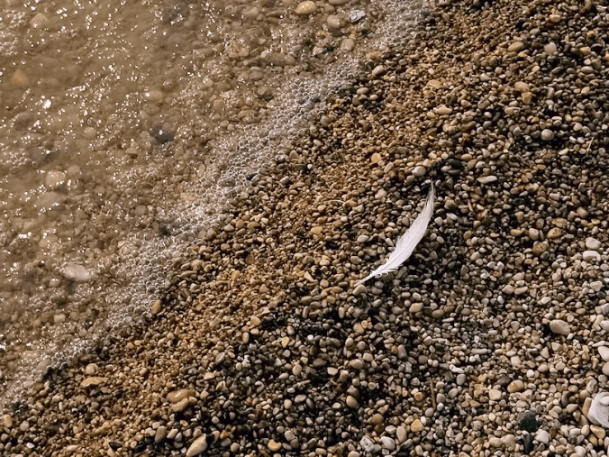 20180811.beach.feather