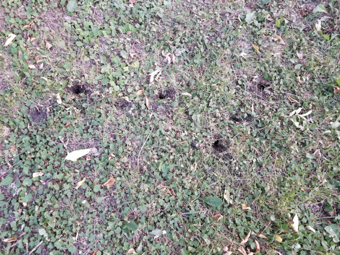 20180814.mystery.holes