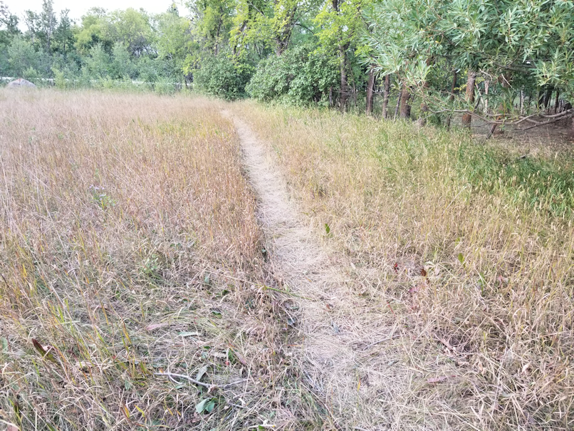 20180819.westyard.cleanup.pile.path