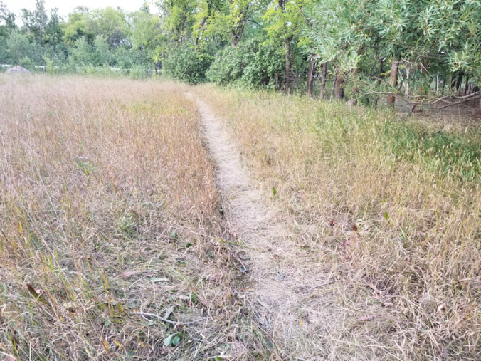 20180819.westyard.cleanup.pile.path