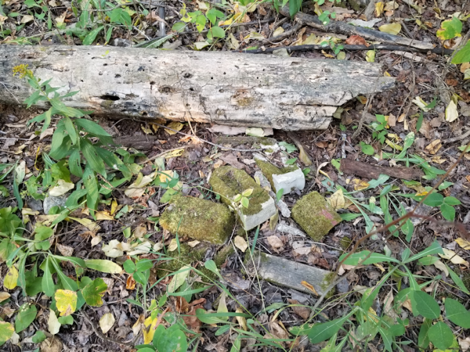 20180825.sprucegrove.finds.mossy.bricks