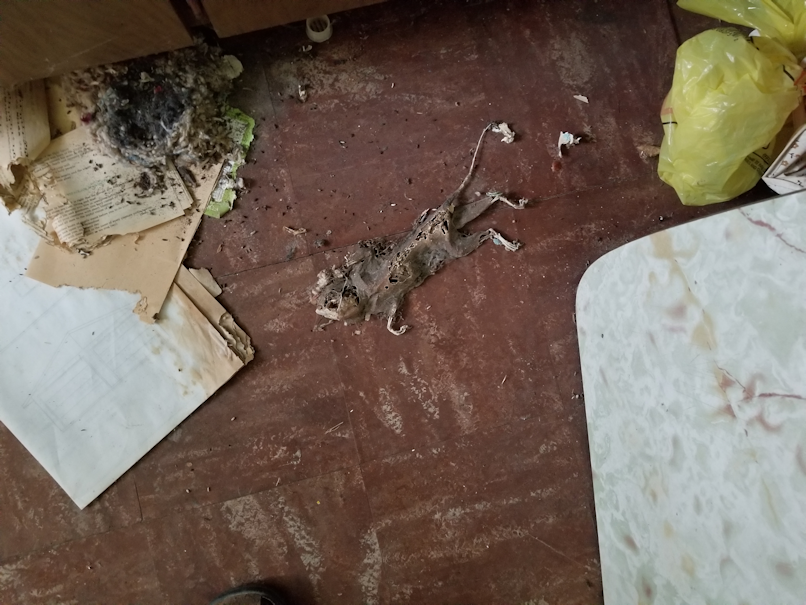 20180825.storage.house.remains