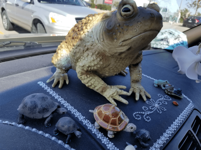 20180901.my.new.friend