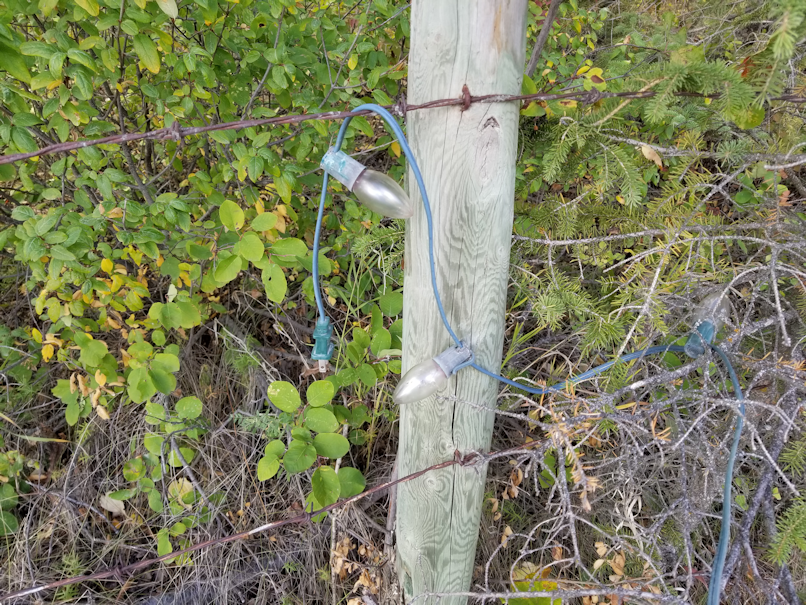 20180910.cleanup.sprucegrove.fenceline.during.lights.end.1