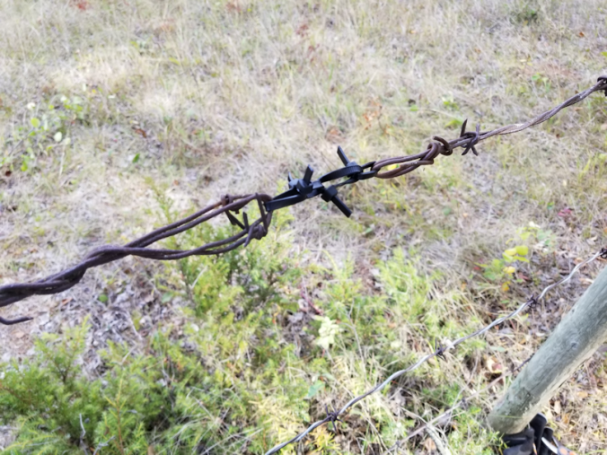 20180914.cleanup.sprucegrove.fenceline.temporary.fix