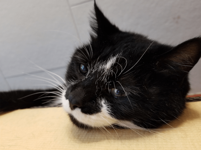 20180916.watching.from.above