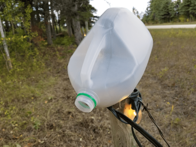 20180919.cleanup.sprucegrove.fenceline.waterjug1