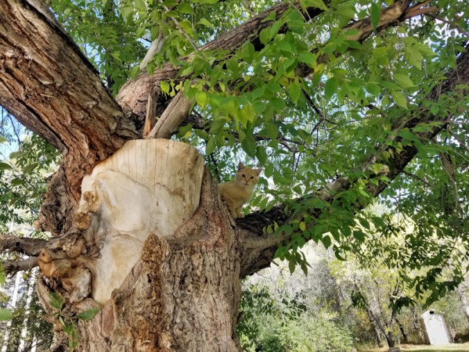 20180921.hello.down.there