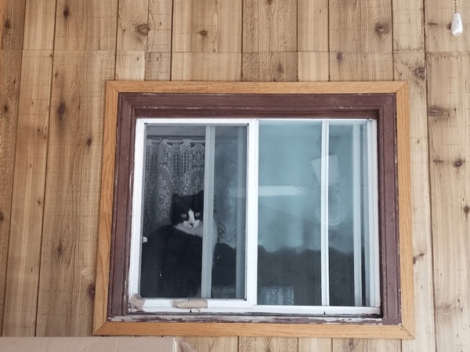 20180925.bathroom.window