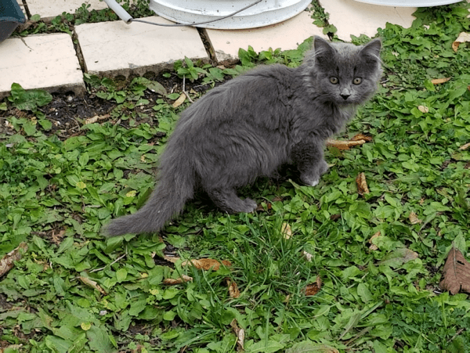 20180927.the.outsider