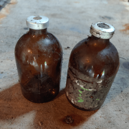 20190919.things.we.find.medicine.bottles