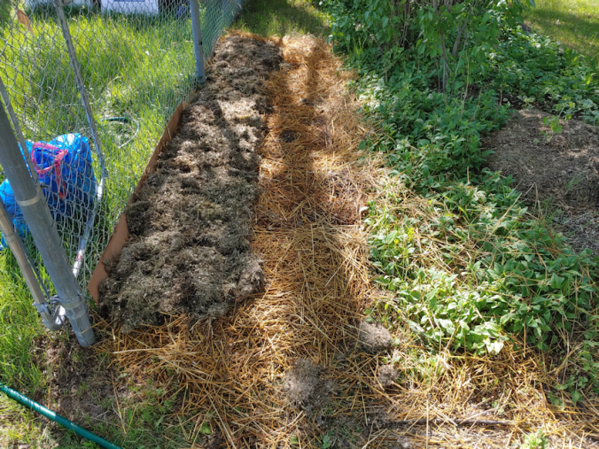 grass clippings layer