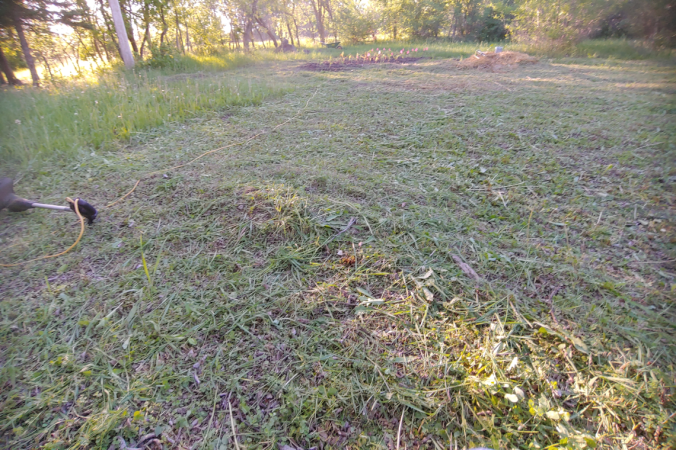 part of the old garden area
