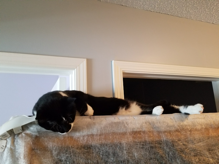 20171103_110426647506958