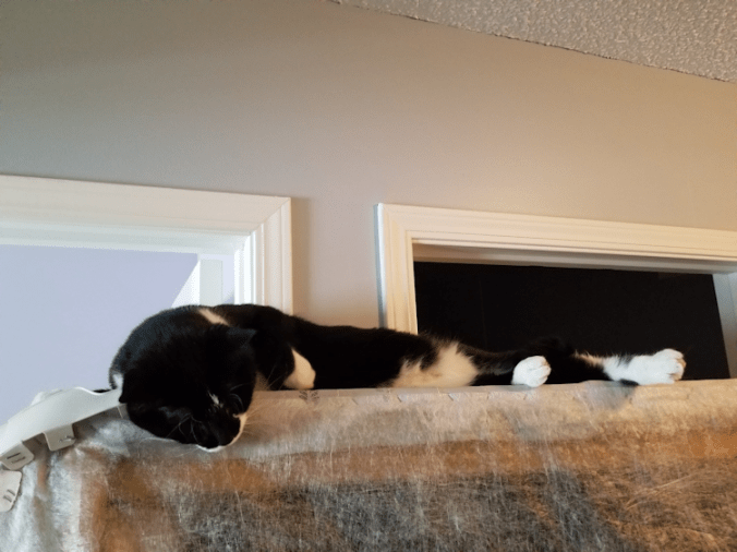 20171103_110426647506958